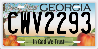 GA license plate CWV2293