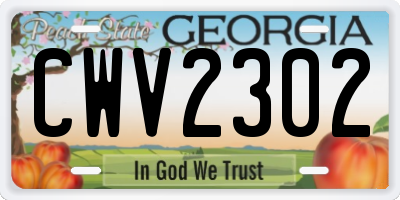 GA license plate CWV2302