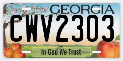 GA license plate CWV2303