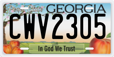 GA license plate CWV2305