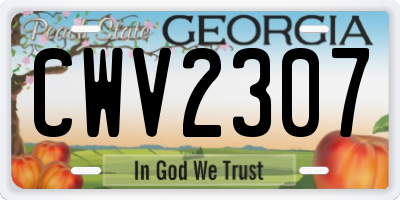 GA license plate CWV2307