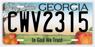 GA license plate CWV2315