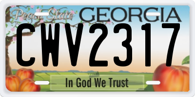 GA license plate CWV2317