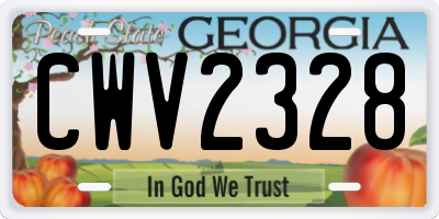 GA license plate CWV2328