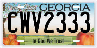 GA license plate CWV2333