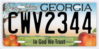 GA license plate CWV2344
