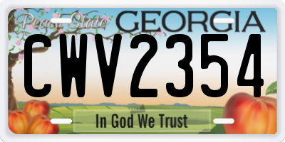 GA license plate CWV2354