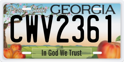 GA license plate CWV2361
