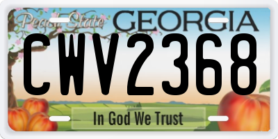 GA license plate CWV2368