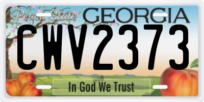GA license plate CWV2373