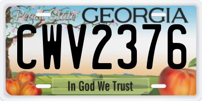 GA license plate CWV2376