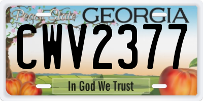 GA license plate CWV2377