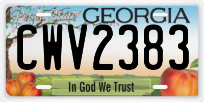 GA license plate CWV2383