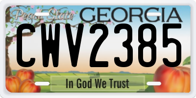GA license plate CWV2385