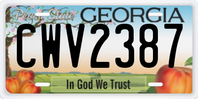 GA license plate CWV2387