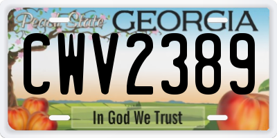 GA license plate CWV2389