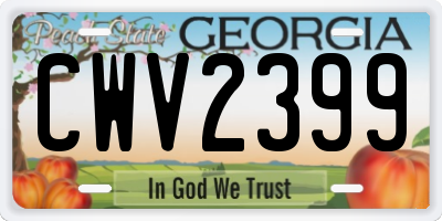 GA license plate CWV2399