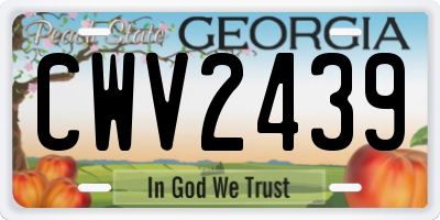 GA license plate CWV2439