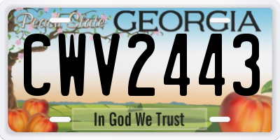 GA license plate CWV2443