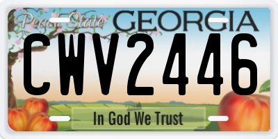 GA license plate CWV2446