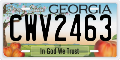 GA license plate CWV2463
