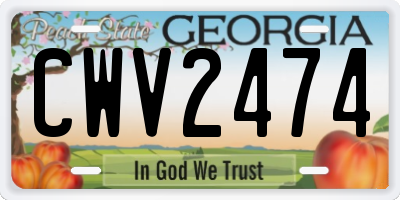 GA license plate CWV2474