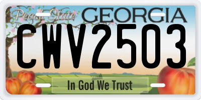 GA license plate CWV2503