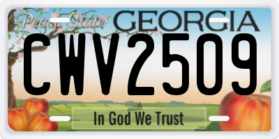GA license plate CWV2509