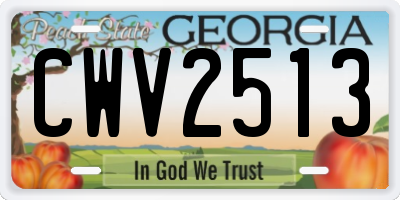GA license plate CWV2513