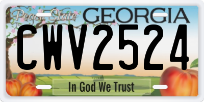 GA license plate CWV2524