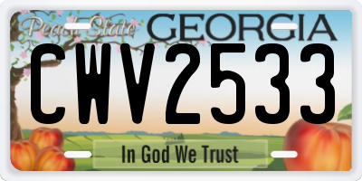 GA license plate CWV2533