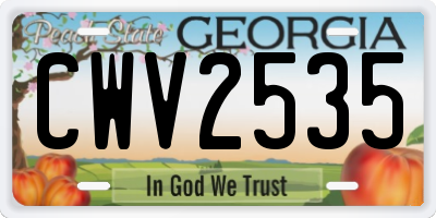 GA license plate CWV2535