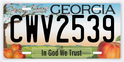 GA license plate CWV2539