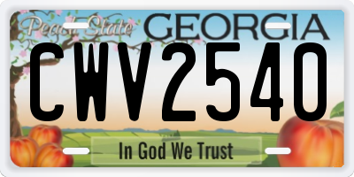 GA license plate CWV2540