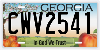 GA license plate CWV2541