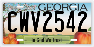 GA license plate CWV2542
