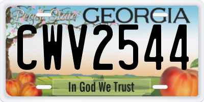 GA license plate CWV2544