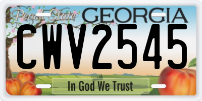 GA license plate CWV2545