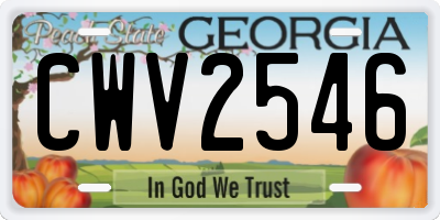 GA license plate CWV2546