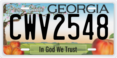 GA license plate CWV2548
