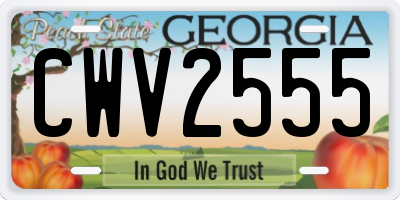 GA license plate CWV2555
