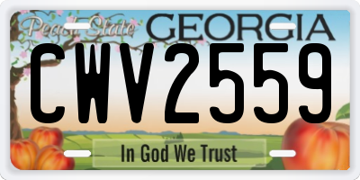 GA license plate CWV2559