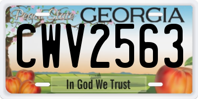 GA license plate CWV2563