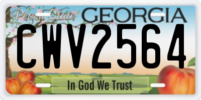 GA license plate CWV2564