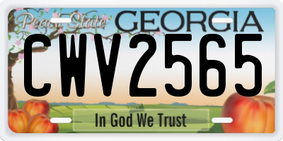 GA license plate CWV2565