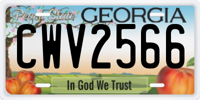 GA license plate CWV2566