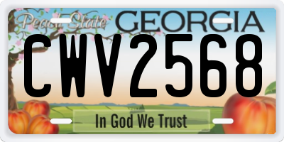 GA license plate CWV2568