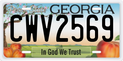 GA license plate CWV2569