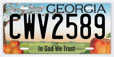 GA license plate CWV2589