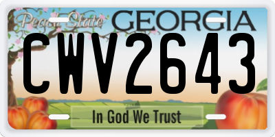 GA license plate CWV2643
